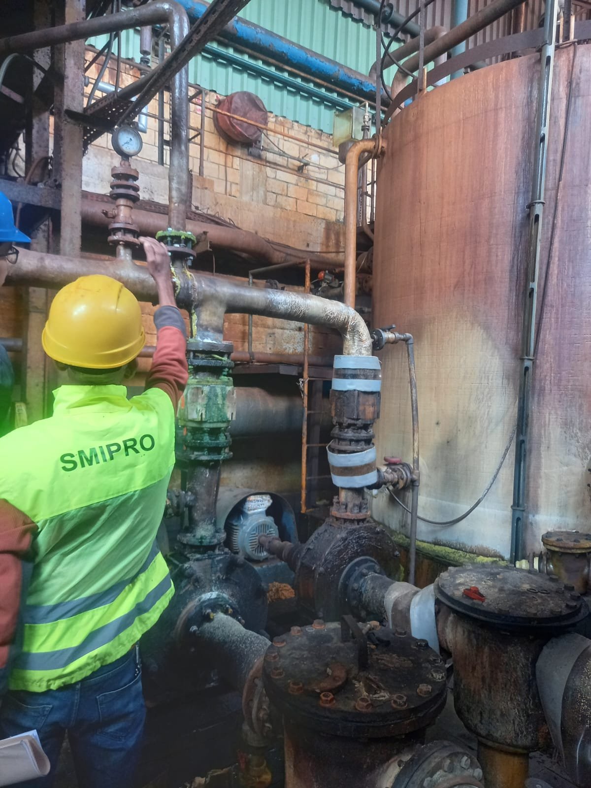 WhatsApp Image 2024-09-30 at 09.30.45